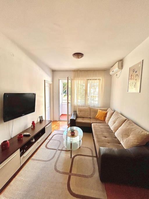 Cozy, Charming One Bedroom Apt Подгориця Екстер'єр фото