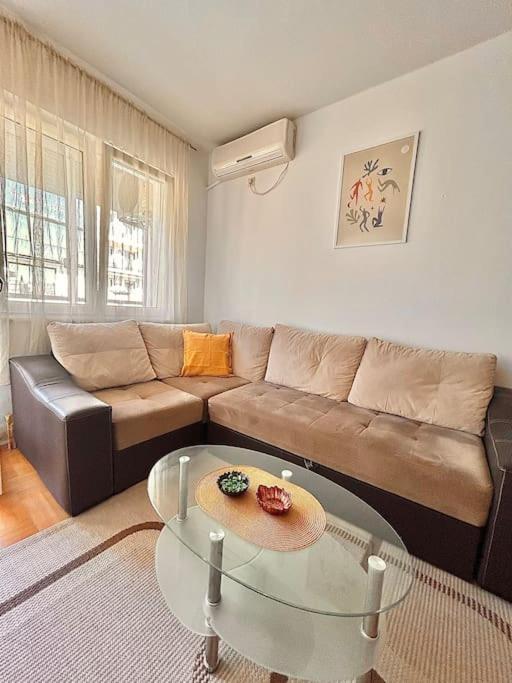 Cozy, Charming One Bedroom Apt Подгориця Екстер'єр фото