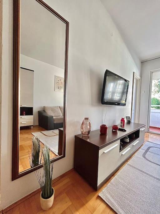 Cozy, Charming One Bedroom Apt Подгориця Екстер'єр фото